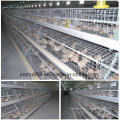 Automatic Poultry Farm Equipment with Prefab House